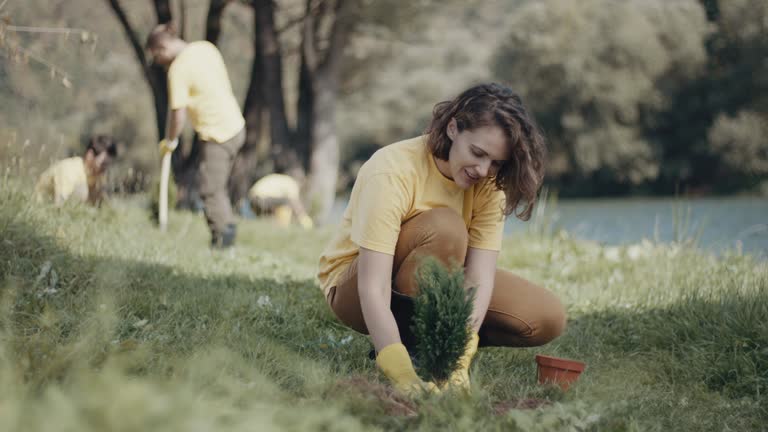 Best Lawn Drainage Solutions  in Valley Mills, TX